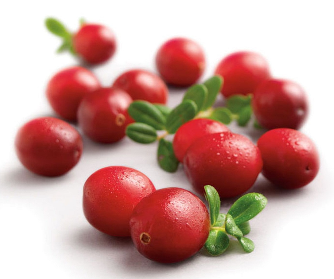 cranberries