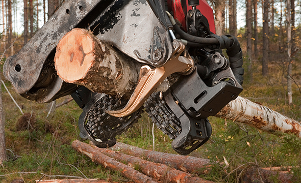 Timo Penttimies feeding roller