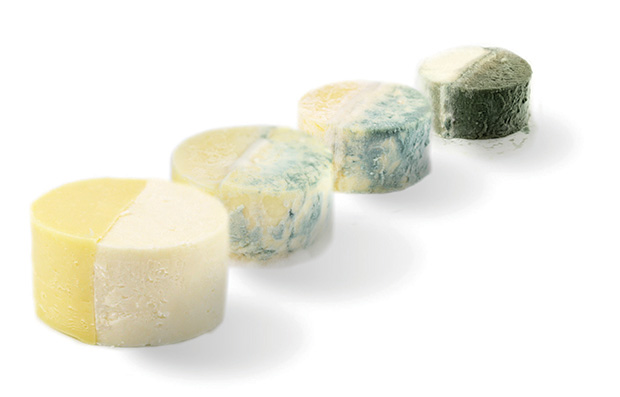 HOLDBAC Protective cultures can control microbial growth in cheeses