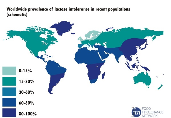 Schematic chart showing prevalence of lactose intolerance