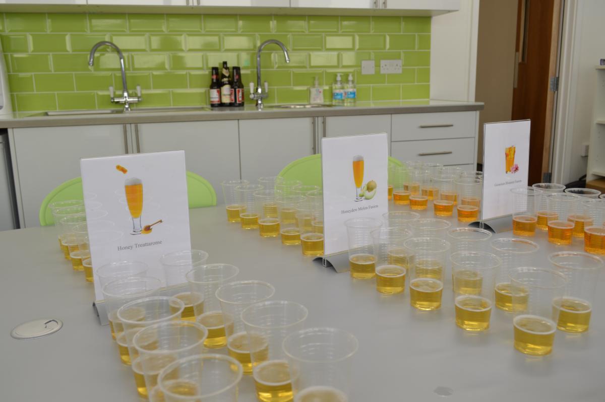 Treatt beverage application lab