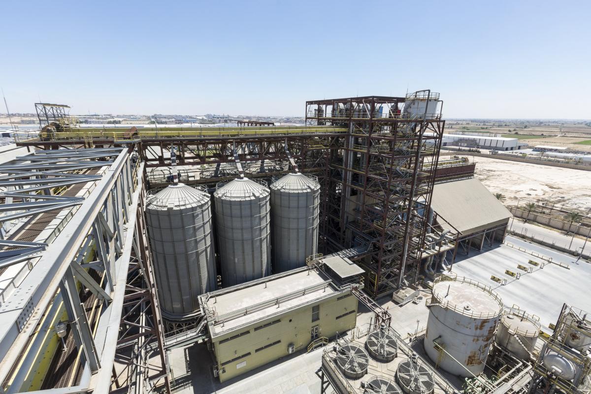 SoyVen soybean plant in Egypt