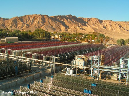 Chosen by KIC leaders, Algatech is the sole algae player participating in the €1200 million initiative