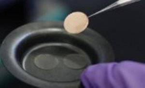 Ashland at Battery Japan 2015