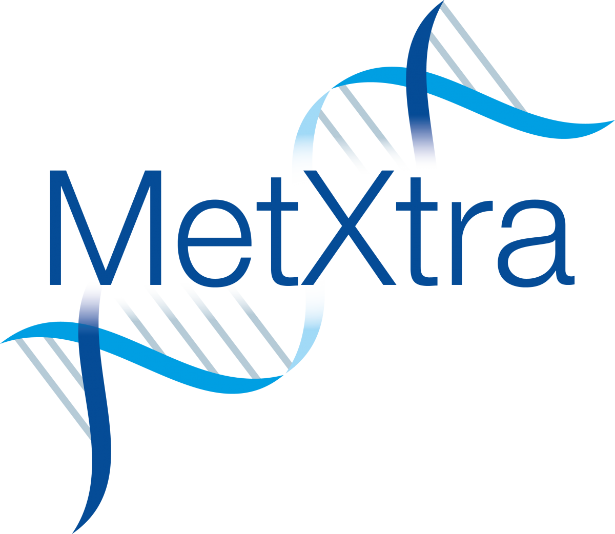 MetXtra software system enables searching and analysing very large datasets automatically