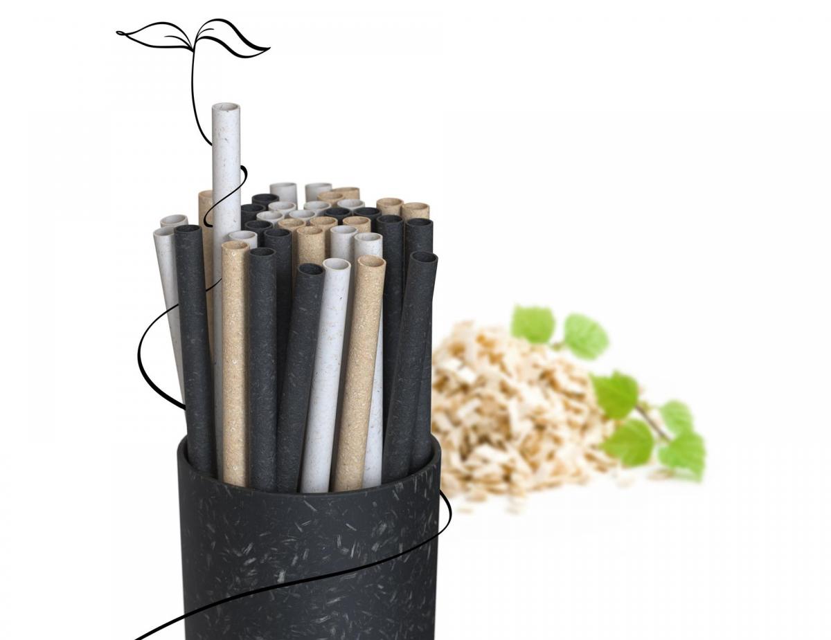 Renewable and biodegradable straws