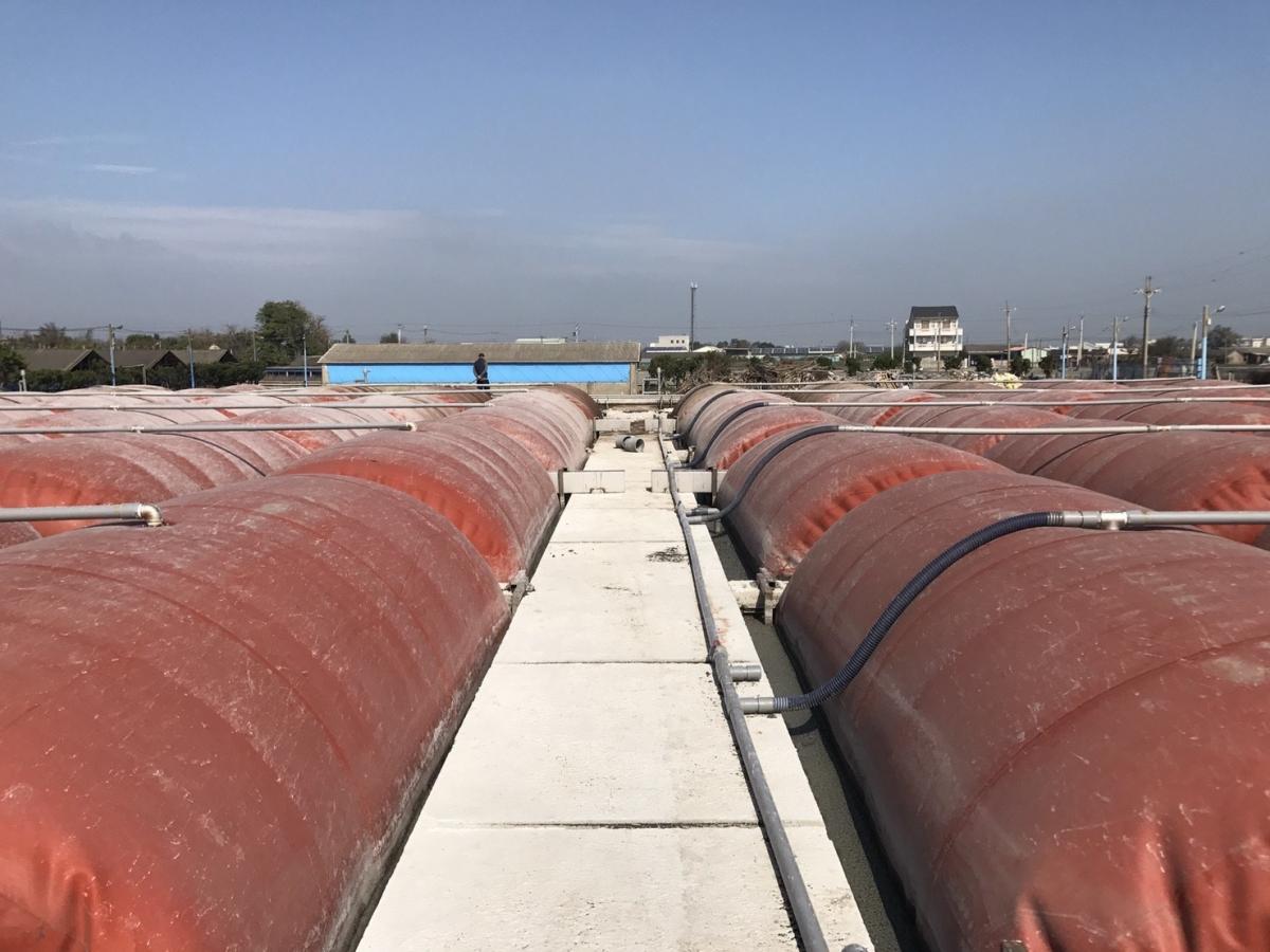 Biogas storage tanks for gas digester (Photo courtesy ITRI)