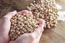 Chickpeas as a source of protein 