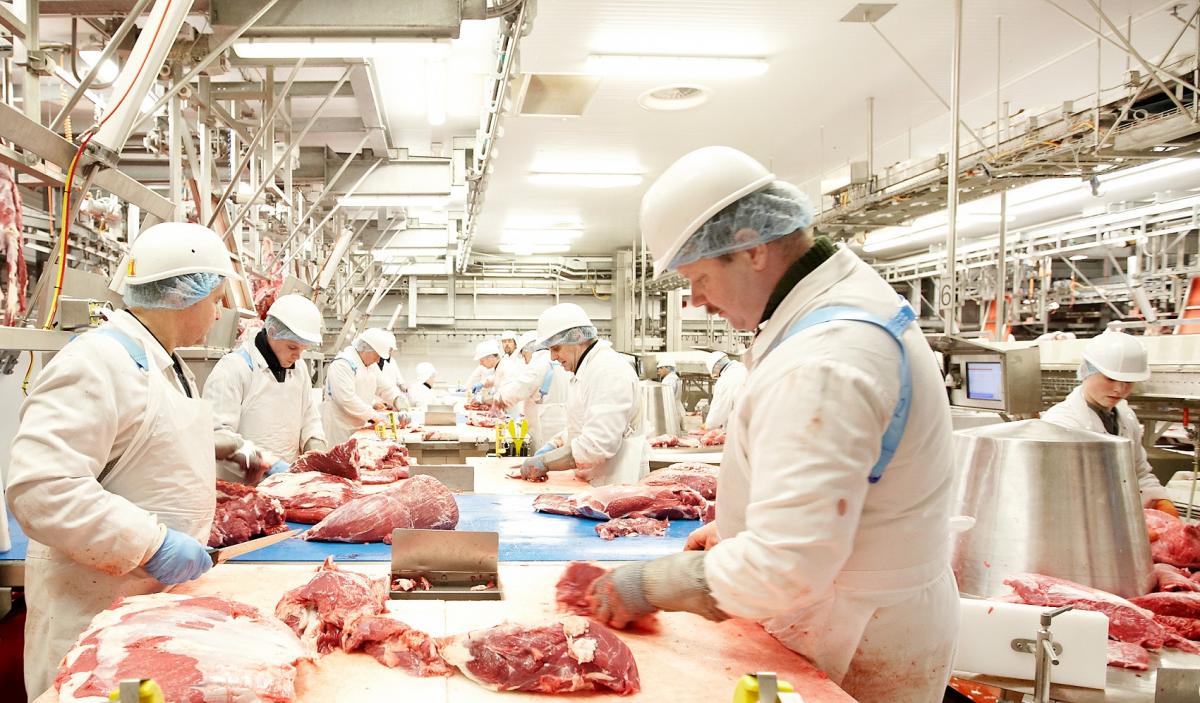 meat processing plant owned by Colruyt uses CSB-System's Factory ERP Solution