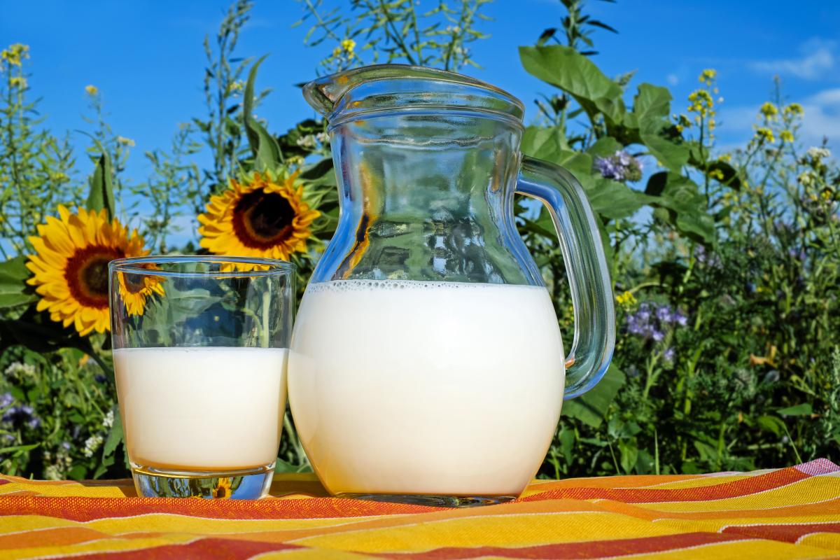 The number of alternatives to dairy has expanded to meet different taste and texture requirements