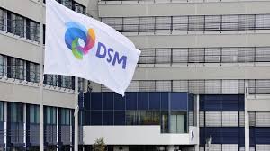 DSM