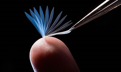 Shape-memory polymer 