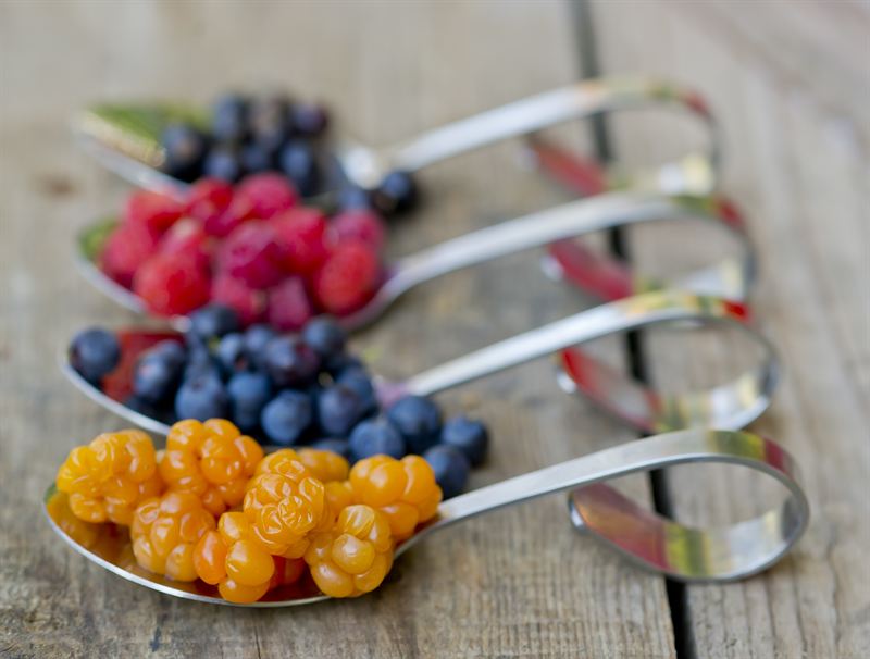 Finnish berries (Photo: Riitta Weijola/Vastavalo)