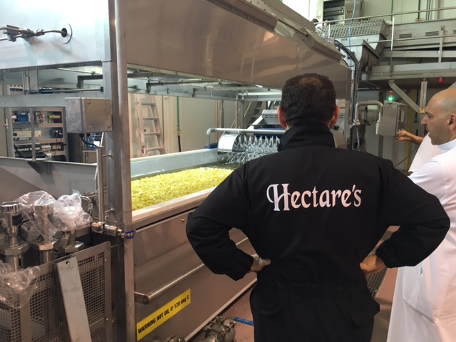First batch fried crisps off the new Fabcon Food Systems batch frying line at Hectare's Kuwait