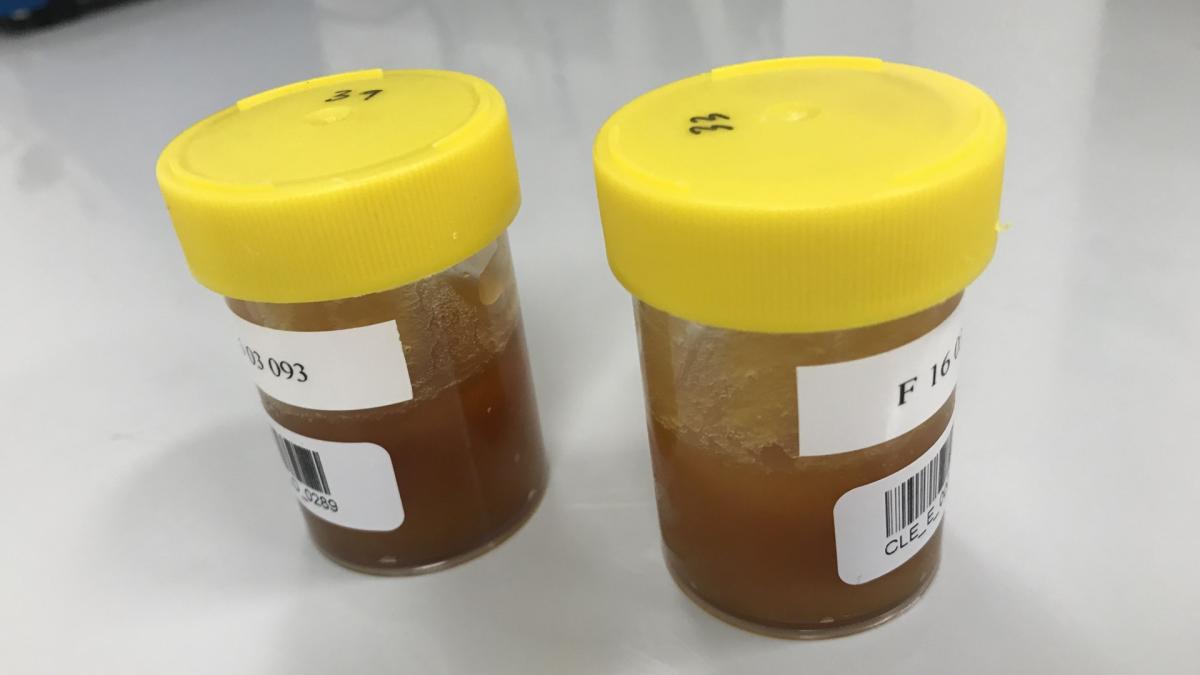 Stable isotope analysis can help differentiate real manuka honey (right jar) from a fake. A new IAEA project will help countries apply this technique to combat fraud in premium foods. (Photo: A. Cannavan/IAEA)