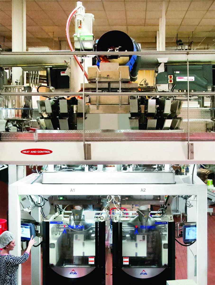 Ishida ITPS fully integrated weigher and Snack  bagmaker system 