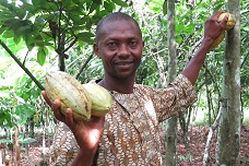 Hershey sustainable sourced cocoa