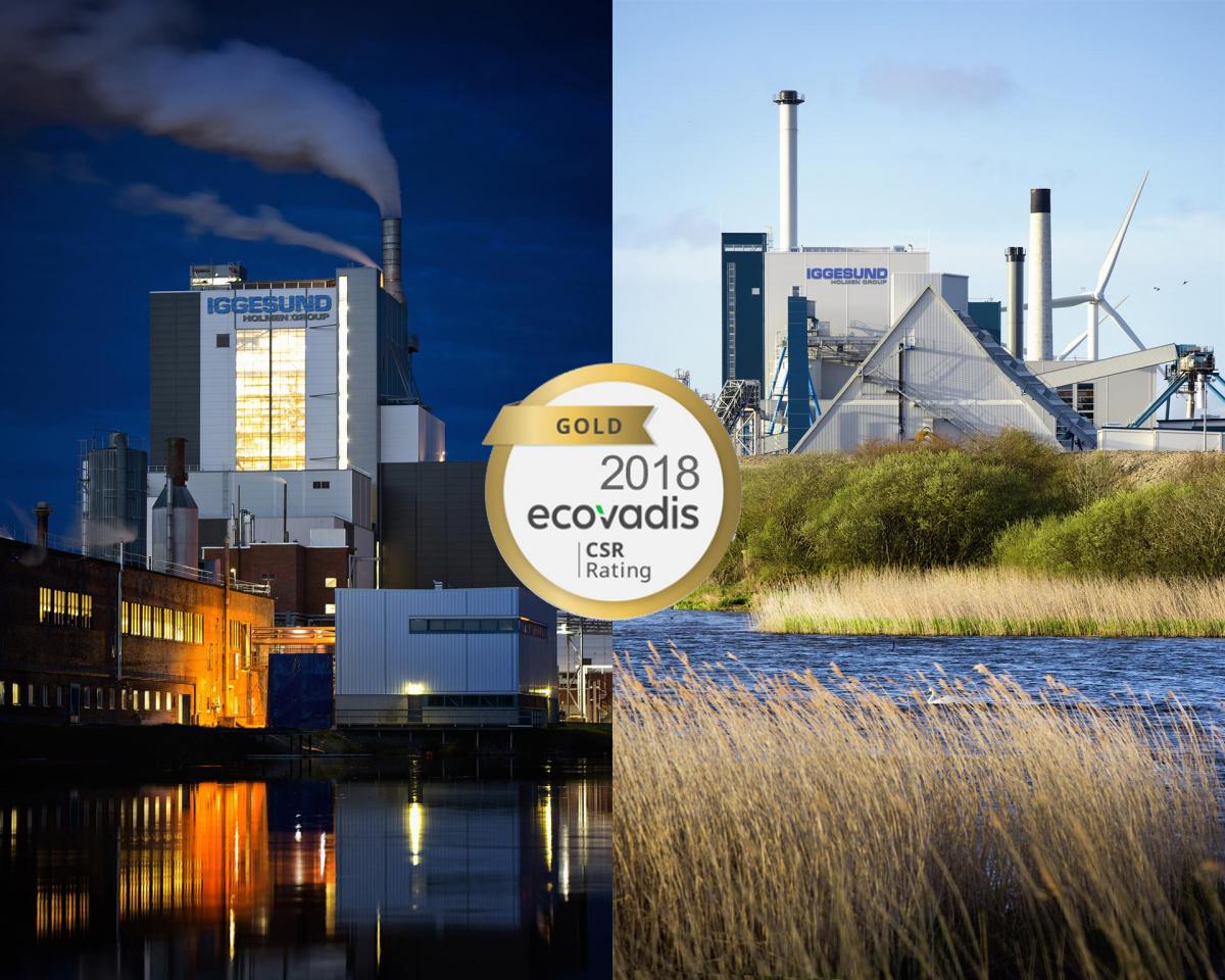 Iggesund Paperboard receives Gold Standard from EcoVadis 