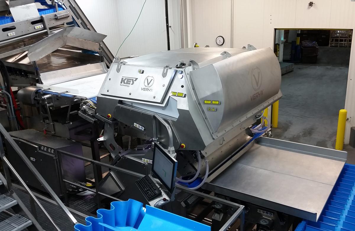 VERYX digital sorter forms part of the complete line installed at Lutosa
