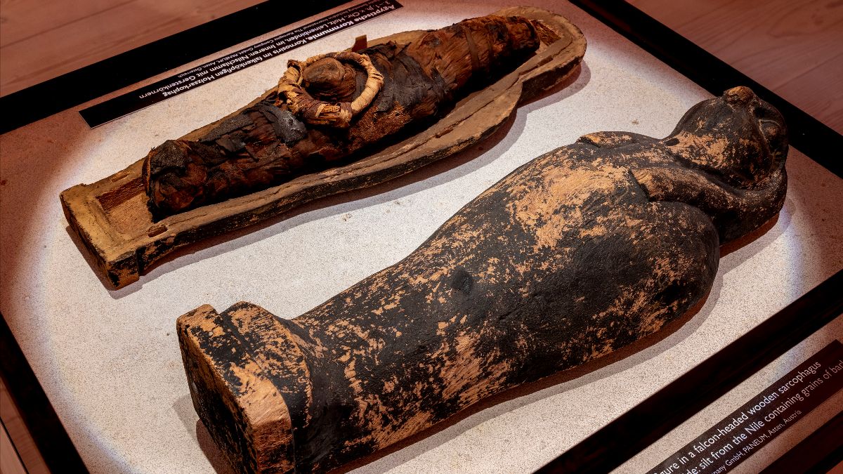 A little corn mummy in its well-preserved sarcophagus (Photo © MehlWelten/Thorsten Scherz)