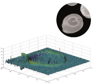 Pellet inspection by SIKORA