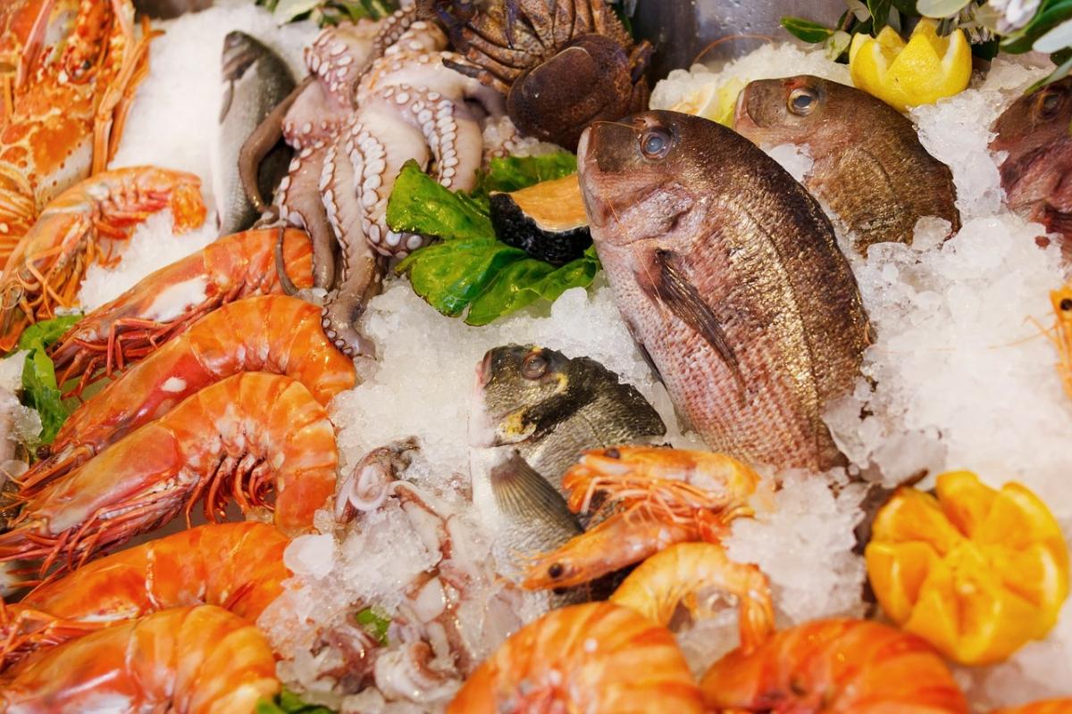 Seafood is one of the food groups that is exceptionally well-suited to be traced via DNA barcoding technology. Processing such as freezing or canning makes it difficult to trace seafood using regular methods.