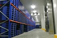 GAC opens Indonesia’s first cold chain distribution center