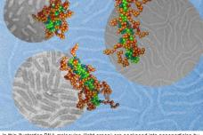 Shape matters in DNA nanotherapy