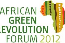 Concrete actions to drive agricultural growth in Africa