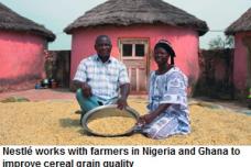 Nigerian farmers help Nestlé address micronutrient deficiency
