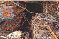 Armco receives 60,000 tonnes of scrap steel order
