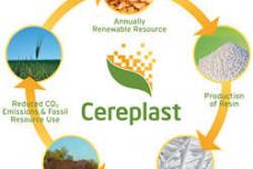 Cereplast files for Chapter 11 Protection