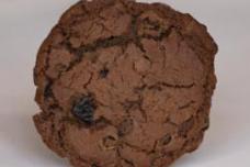 Probiotic GanedenBC30 added to cookie