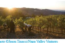 Napa Valley receives landmark protection in China