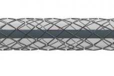 Zotarolimus-eluting stents