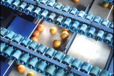 Brazil to grow citrus exports to GCC