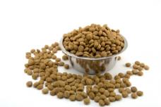 Euromonitor analyses UAE pet care market