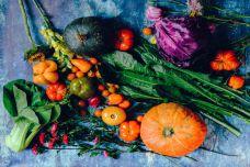 Intelligent food preservation