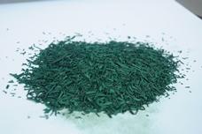 Global Superfoods: Spirulina harvest
