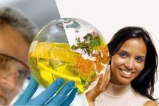 Baerlocher strengthens customer focus in US with new laboratory