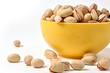 Iran’s food industry