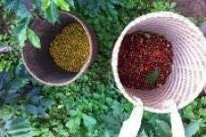 A niche market success