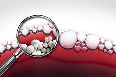 Chr. Hansen takes part in wine project