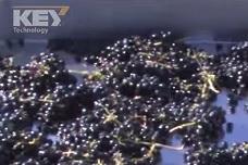 Why Chappellet opted for the VitiSort