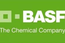 BASF and Zelfo Technology collaborate on micro-fibrillated cellulose