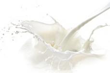 Frutarom Health taps into omega-3 market