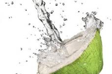 iTi releases findings on coconut water market