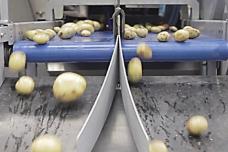 TOMRA Sorting offer solutions for complete production lines