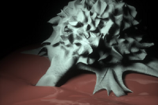 Disabling enzyme reduces tumor growth