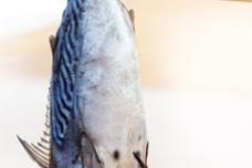 The state of UAE’s seafood industry